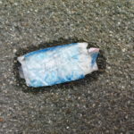 DSC01028